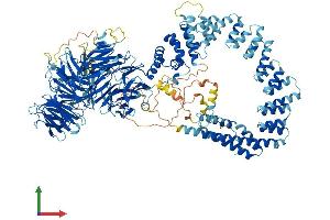 AlphaFold protein structure predicition of Mouse Recombinant Elp1 Protein, UniprotID Q7TT37