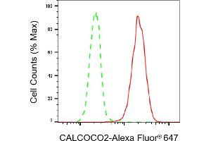 Flow cytometric analysis of CALCOCO2 expression in HeLa cells using CALCOCO2 antibody (ABIN7797826), 1:2,000). (CALCOCO2 anticorps)
