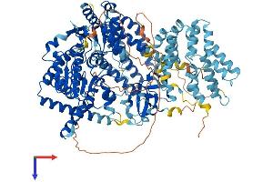 AlphaFold protein structure predicition of Mouse Recombinant Ifih1 Protein, UniprotID Q8R5F7