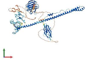 AlphaFold protein structure predicition of Mouse Recombinant Trim9 Protein, UniprotID Q8C7M3
