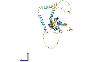 AlphaFold protein structure predicition of Mouse Recombinant Gjc1 Protein, UniprotID P28229