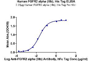 Immobilized Human FGFR2 alpha (IIIb), His Tag at 0.