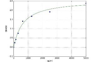 A typical standard curve