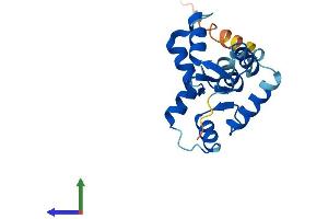 AlphaFold protein structure predicition of Human Recombinant MYL5 Protein, UniprotID Q02045