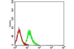 Flow cytometric analysis of Jurkat cells using TNFRSF12A mouse mAb (green) and negative control (red).