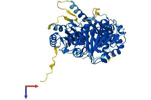 AlphaFold protein structure predicition of Human Recombinant TUBE1 Protein, UniprotID Q9UJT0