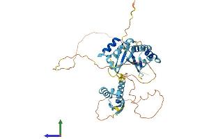 AlphaFold protein structure predicition of Human Recombinant PCBP4 Protein, UniprotID P57723