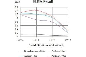 Black line: Control Antigen (100 ng),Purple line: Antigen (10 ng), Blue line: Antigen (50 ng), Red line:Antigen (100 ng) (BCAM anticorps  (AA 32-197))