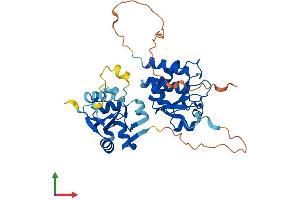 AlphaFold protein structure predicition of Human Recombinant DUSP1 Protein, UniprotID P28562