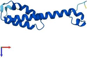 AlphaFold protein structure predicition of Human Recombinant PSENEN Protein, UniprotID Q9NZ42