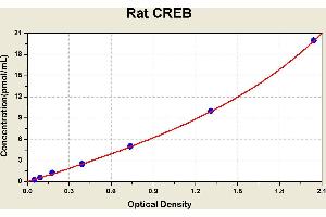Diagramm of the ELISA kit to detect Rat CREBwith the optical density on the x-axis and the concentration on the y-axis. (CREB1 Kit ELISA)