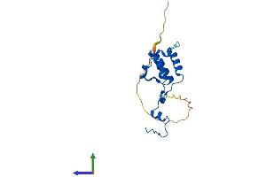 AlphaFold protein structure predicition of Human Recombinant MRPL50 Protein, UniprotID Q8N5N7