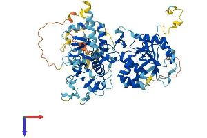 AlphaFold protein structure predicition of Mouse Recombinant Extl1 Protein, UniprotID Q9JKV7