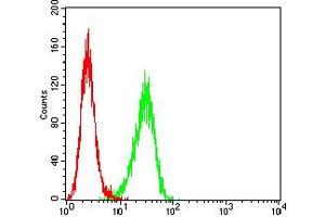 Flow cytometric analysis of Hela cells using BTRC mouse mAb (green) and negative control (red).