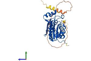 AlphaFold protein structure predicition of Mouse Recombinant Trex1 Protein, UniprotID Q91XB0