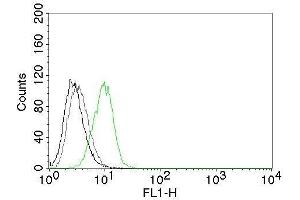 Flow Cytometry of human p27 on HeLa cells. (CDKN1B anticorps)