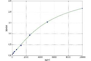 A typical standard curve
