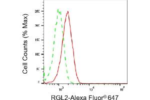 Flow cytometric analysis of RGL2 expression in HepG2 cells using RGL2 antibody (ABIN7800125), 1:2,000). (RGL2 anticorps)