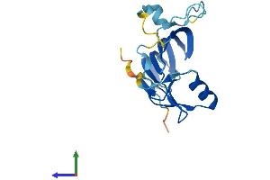 AlphaFold protein structure predicition of Mouse Recombinant Morn5 Protein, UniprotID Q9DAI9