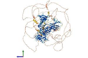 AlphaFold protein structure predicition of Mouse Recombinant Tns2 Protein, UniprotID Q8CGB6