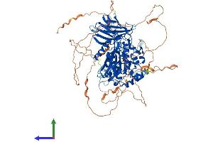 AlphaFold protein structure predicition of Human Recombinant AGBL5 Protein, UniprotID Q8NDL9