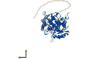 AlphaFold protein structure predicition of Human Recombinant ACCS Protein, UniprotID Q96QU6