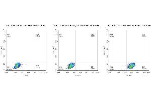 Use Biotinylated Human GPC3-His protein to detect the expression rate of Anti-GPC3-CAR positive cells.