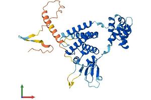 AlphaFold protein structure predicition of Human Recombinant FBXO32 Protein, UniprotID Q969P5