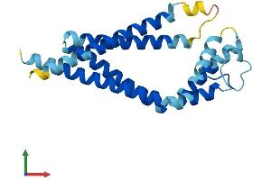 AlphaFold protein structure predicition of Human Recombinant TSPAN2 Protein, UniprotID O60636