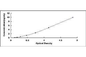 Typical standard curve