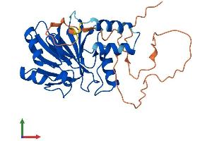 AlphaFold protein structure predicition of Human Recombinant HAGHL Protein, UniprotID Q6PII5