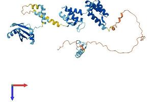 AlphaFold protein structure predicition of Human Recombinant PNMA3 Protein, UniprotID Q9UL41