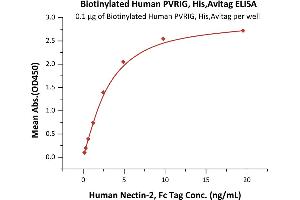Immobilized Biotinylated Human PVRIG, His,Avitag (ABIN6973210) at 1 μg/mL (100 μL/well) on Streptavidin precoated (0.