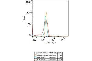 Flow cytometry: Raji cells were stained with Rabbit IgG isotype control (, 2. (CD3G anticorps)