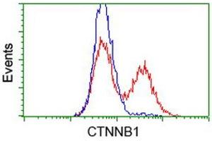 HEK293T cells transfected with either RC208947 overexpress plasmid (Red) or empty vector control plasmid (Blue) were immunostained by anti-CTNNB1 antibody (ABIN2454166), and then analyzed by flow cytometry. (CTNNB1 anticorps)