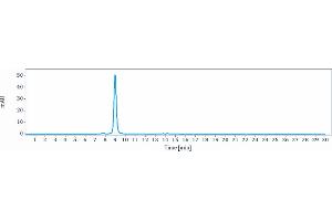 The purity of Anti-MIF Reference Antibody (imalumab) is more than 95 % , determined by SEC-HPLC. (Recombinant MIF (Imalumab Biosimilar) anticorps)