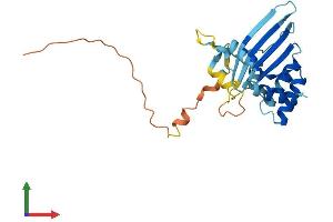 AlphaFold protein structure predicition of Human Recombinant APOBEC2 Protein, UniprotID Q9Y235