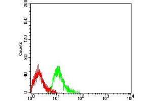 Flow cytometric analysis of Jurkat cells using CD109 mouse mAb (green) and negative control (red).