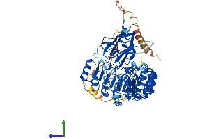 AlphaFold protein structure predicition of Mouse Recombinant Fbxl4 Protein, UniprotID Q8BH70