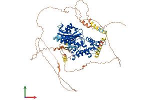 AlphaFold protein structure predicition of Human Recombinant DENND1B Protein, UniprotID Q6P3S1