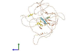 AlphaFold protein structure predicition of Mouse Recombinant Ccdc8 Protein, UniprotID D3YZV8