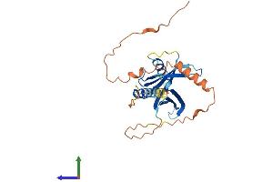 AlphaFold protein structure predicition of Human Recombinant PID1 Protein, UniprotID Q7Z2X4