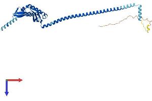 AlphaFold protein structure predicition of Human Recombinant ERLIN2 Protein, UniprotID O94905