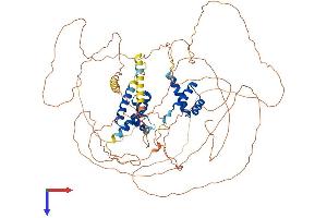 AlphaFold protein structure predicition of Human Recombinant POU2F1 Protein, UniprotID P14859