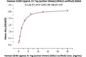 Immobilized Human CD40, His Tag (ABIN2180793,ABIN2180792) at 1 μg/mL (100 μL/well) can bind Human CD40 Ligand, Fc Tag (active trimer) (MALS verified) (ABIN6973010) with a linear range of 0.