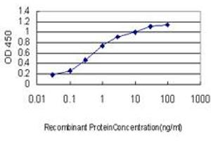 Detection limit for recombinant GST tagged ZNF281 is approximately 0.