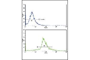 Flow cytometric analysis of widr cells using KLF6 Antibody (bottom histogram) compared to a negative control cell (top histogram)FITC-conjugated goat-anti-rabbit secondary antibodies were used for the analysis.