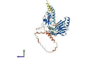 AlphaFold protein structure predicition of Mouse Recombinant Irf7 Protein, UniprotID P70434