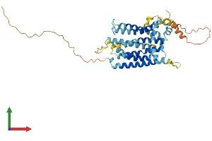 AlphaFold protein structure predicition of Human Recombinant TMEM184B Protein, UniprotID Q9Y519