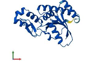 AlphaFold protein structure predicition of Mouse Recombinant Ssu72 Protein, UniprotID Q9CY97